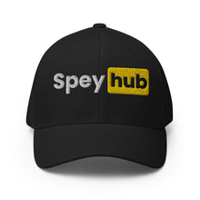 Load image into Gallery viewer, Spey hub Flexfit Hat