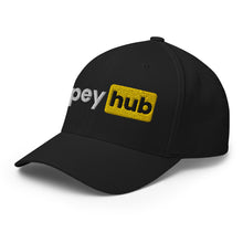Load image into Gallery viewer, Spey hub Flexfit Hat