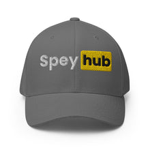 Load image into Gallery viewer, Spey hub Flexfit Hat