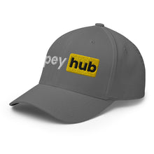 Load image into Gallery viewer, Spey hub Flexfit Hat