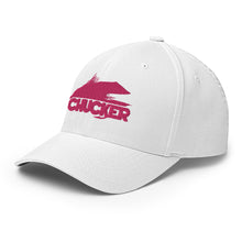 Load image into Gallery viewer, Pink Chucker Fly Flexfit Hat