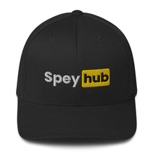 Load image into Gallery viewer, Spey hub Flexfit Hat
